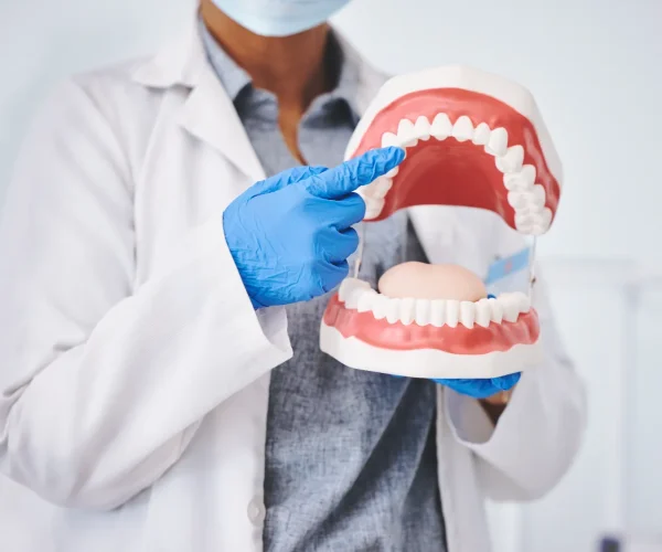 Instructor pointing to a full-mouth model during dental anatomy classes.