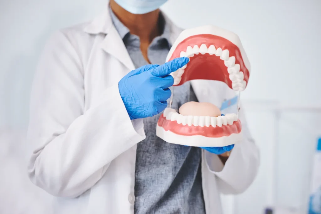 Instructor pointing to a full-mouth model during dental anatomy classes.